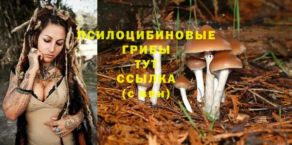 хмурый Балабаново