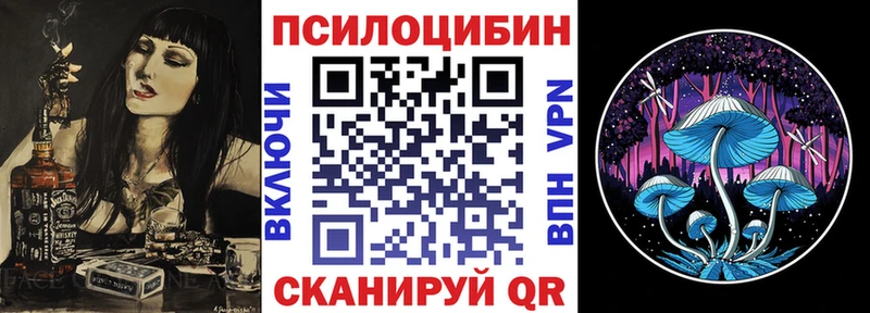 купить   Сердобск  Галлюциногенные грибы MAGIC MUSHROOMS 